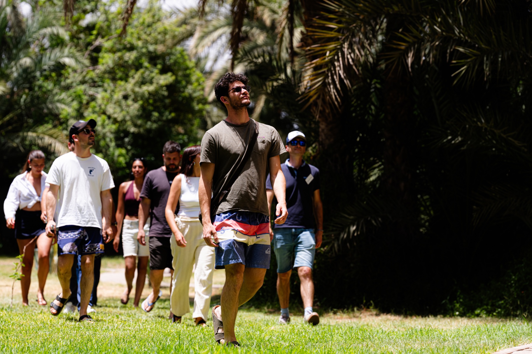 Walking through the palm grove