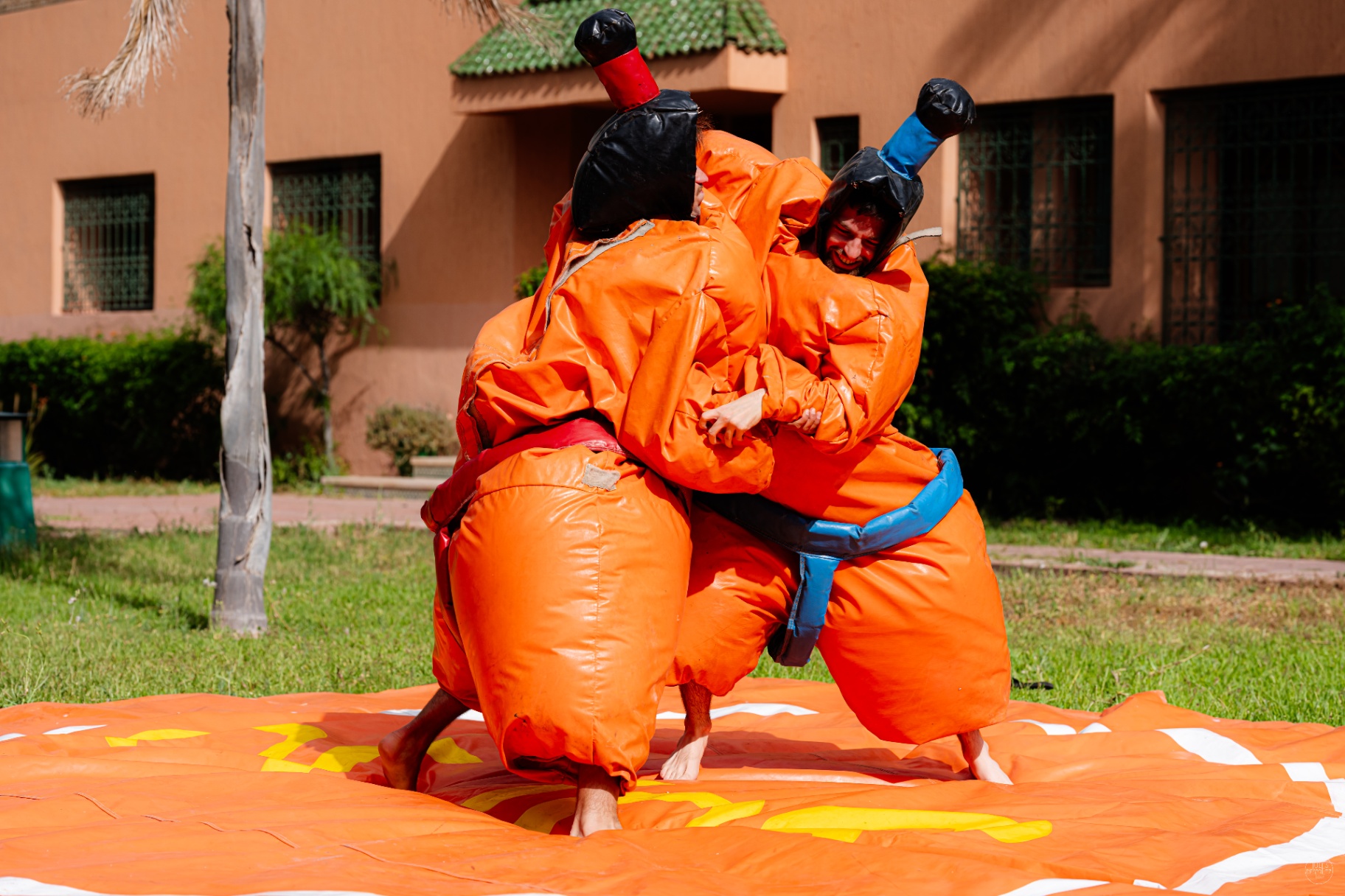 Sumo suits in the garden